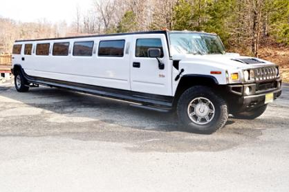 Buffalo 15 Passenger Limo