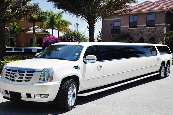 Buffalo 20 Passenger Limo